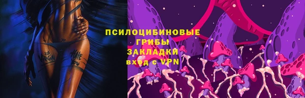 прущий лед Арсеньев