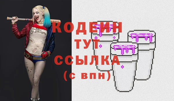 прущий лед Арсеньев