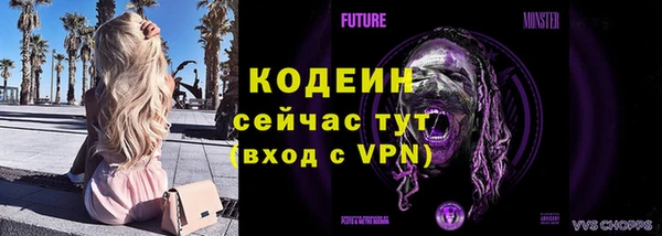 прущий лед Арсеньев